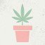 Advanced Grower