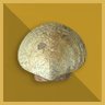 100 Tons Scallop