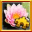 Water Lily Complete!