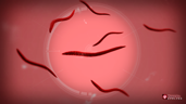 Parasite Master