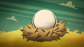 Nest Egg