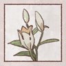 Love Yet to Bloom