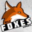 Wild Foxes eSports