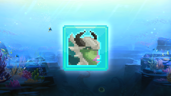 Strange Fish