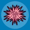 Sea Urchin Catcher