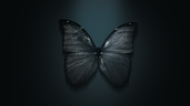 Dark Water