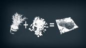 The Basics of Survival