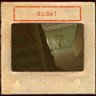 Hide!
