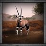 Gemsbok Hunter