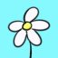A white snowflake like a flower in summer