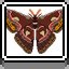 Giant Silk Moth