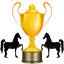 Win 50 Races
