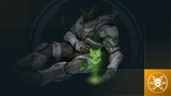 Evasive Maneuvers