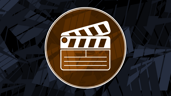 The Director