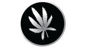 Every Herb Bearing Seed