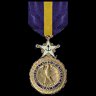 Navy Distinguished Service Medal
