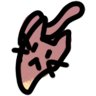 Zebu