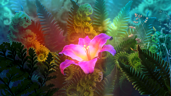 Botanist of the Year
