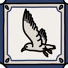 The seagulls