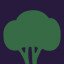 Plant Shrubs