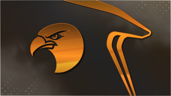 Eagle Eye