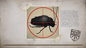Pest Control Specialist