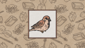  Messenger Bird