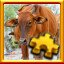Cows Complete!