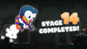 Stage 14