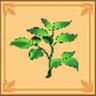 种植学徒 - Planting Lv20