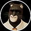 Nine lives
