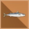 100 Tons Mackerel
