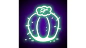 Thanks for the cactus