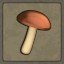 Mushroom Picker