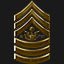 Sergeant Major of the Army