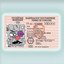 Driving License