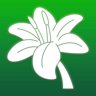 Flower Master