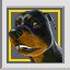 Not a Dog Person - Gold