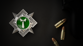 Genuine Professional