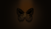Phantom