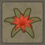 Herbalist
