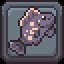 1B Fish