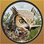 Great-Horned Owl