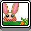 Hungry Bunny