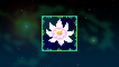 Florist