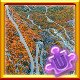 Challenge 44 Complete!