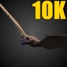 10K Bat Kills