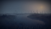 Night Safari