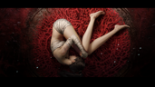 Fallen Feathers