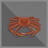 100 kg Snow Crab